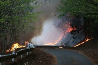 Japon : violents feux de forêt menacent une ville, plus de 2 500 évacuations