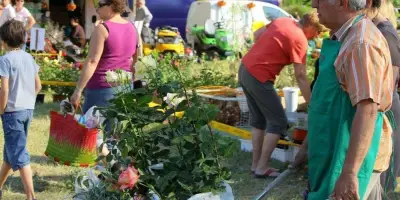 Jardin sur Ciron : une journée dédiée au végétal et à la convivialité à Pujols-sur-Ciron