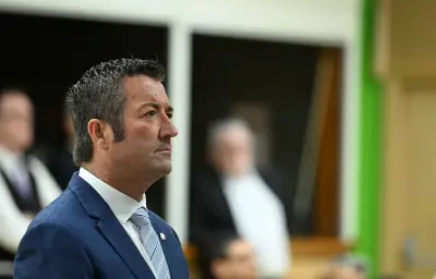 Karl Olive condamné pour accident avec gyrophare illégal : une leçon de justice