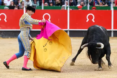 La corrida de La Brède fait son retour en 2026 après une année blanche en Gironde