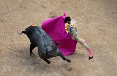 La corrida retirée du patrimoine culturel français après cinq ans de bataille juridique