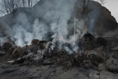 La France face à la menace de la peste porcine africaine : état des lieux et préparation