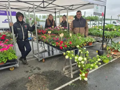 L'atelier horticole de l'Esat de Mongauzy valorise l'inclusion par la vente de plants
