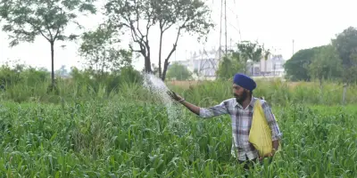 Le détroit d'Ormuz bloqué : une crise alimentaire mondiale et la fragilité des systèmes agricoles