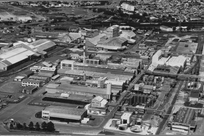 Le Marais perdu : une décharge radioactive oubliée refait surface