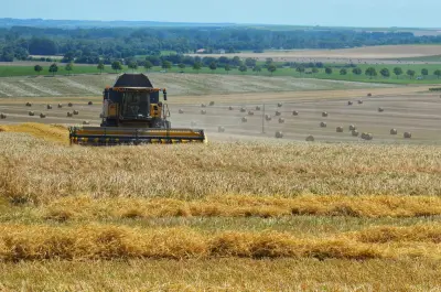 Le ministère de l'Agriculture publie une liste de 120 usages de pesticides pour orienter l'Anses