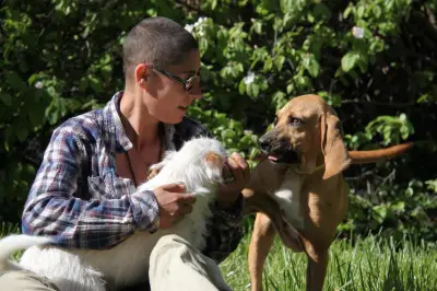 Leishmaniose canine : comprendre et prévenir cette maladie parasitaire transmise par le moustique