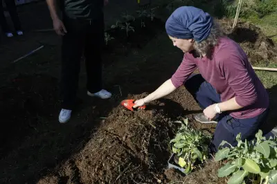 Les 48 heures de l'agriculture urbaine de retour à Bordeaux pour célébrer la nature en ville