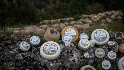 Les Bergers du Larzac : 30 ans de fromage célébrés par un livre