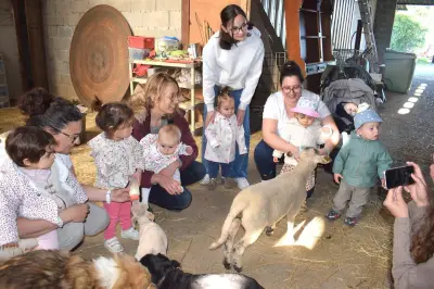 Les enfants de la MAM découvrent l'élevage ovin bio dans une sortie pédagogique