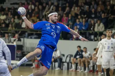Les Fox de Saintes visent la revanche face à Saran en Proligue de handball