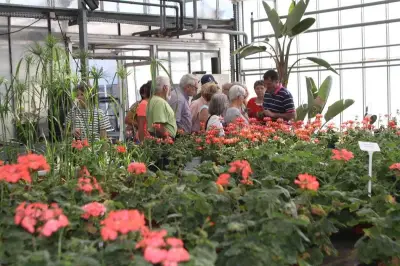 Les serres municipales de Royan ouvrent leurs portes au public le 25 avril