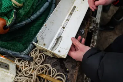 Lège-Cap-Ferret célèbre le printemps avec un mois d'activités nature