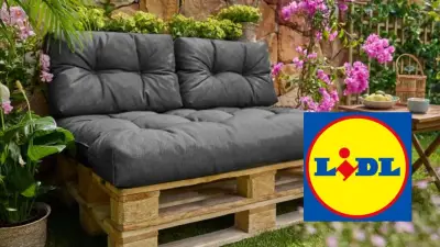 Lidl brade ses stocks de jardin : 5 offres à prix hallucinants