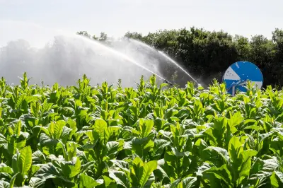 Loi d'urgence agricole : Sylvain Barone dénonce un détournement du regard sur les revendications paysannes
