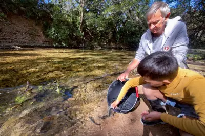 L'ombre commun réintroduit dans le Gapeau pour créer un parcours de pêche à la mouche