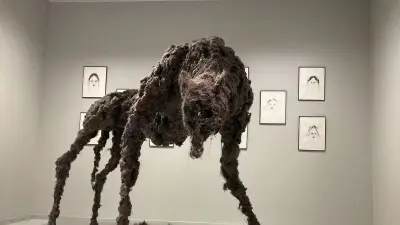 Lozère : musée, don du sang et conférence sur les langues régionales