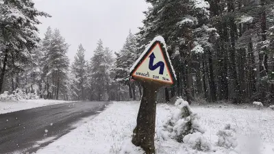 Lozère : une chute de neige surprise en avril rappelle l'hiver
