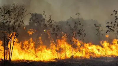 Malaisie : un incendie dévastateur détruit un millier de maisons dans un village côtier