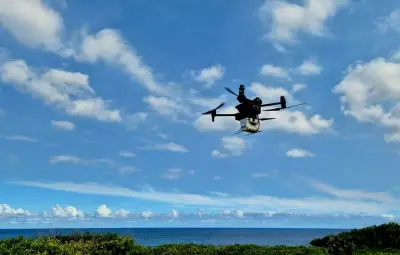 Moustique tigre : la technique de l'insecte stérile, une arme prometteuse contre la dengue