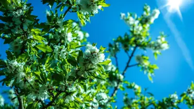 Météo printanière capricieuse : fraîcheur et averses avant un retour du soleil