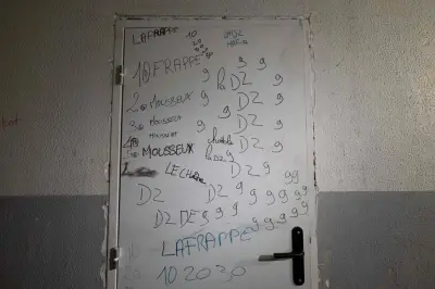 Narcotrafic : six à huit têtes dirigeantes identifiées pour la DZ Mafia selon la police judiciaire