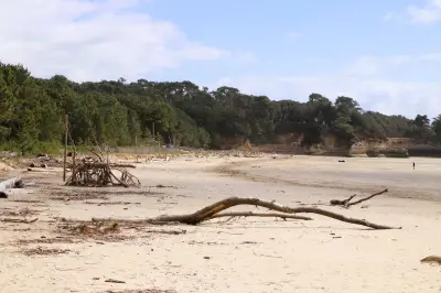 Nettoyage raisonné des plages : Meschers et Saint-Georges privilégient l'écologie
