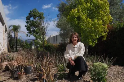 Nice : première culture d'aloe vera des Alpes-Maritimes pour une marque de cosmétiques naturels