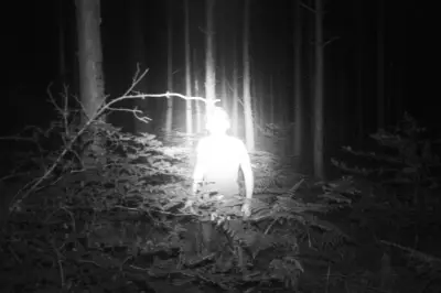 À Niort, de jeunes photographes pleins d'assurance exposent leur talent