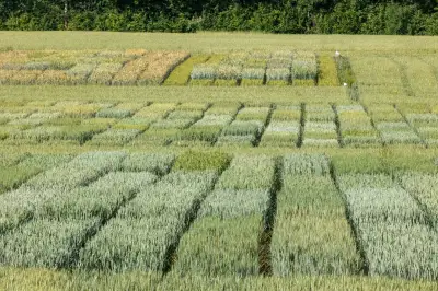 One Health : La science doit guider les politiques publiques de santé environnementale