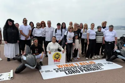 One Voice mobilisée pour les orques de Marineland et dénonce l'ambiguïté gouvernementale