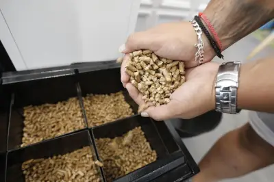 Pellets de chauffage : l'Anses alerte sur les risques mortels d'intoxication au monoxyde de carbone