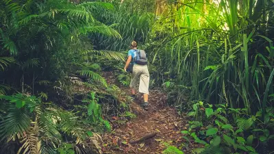 Perdue 4 jours dans la jungle indienne, une randonneuse survit en buvant l'eau d'un ruisseau