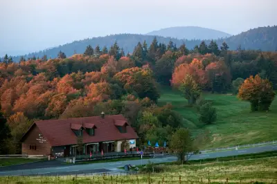 Plus de 1 000 arbres abattus au Ballon d'Alsace pour le Tour de France 2026
