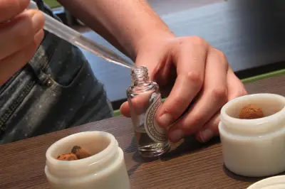 Prodarom lance une campagne vidéo pour promouvoir les métiers de la parfumerie et des arômes alimentaires