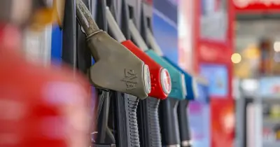 Pétrole : après le cessez-le-feu, les prix baissent mais la crise énergétique persiste