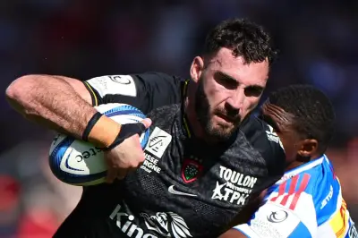 RC Toulon: retour de cadres pour la demie de Champions Cup