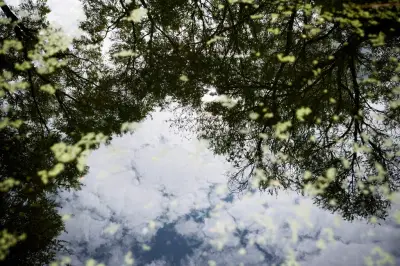 Santé et biodiversité : le moustique tigre, un enjeu qui pique