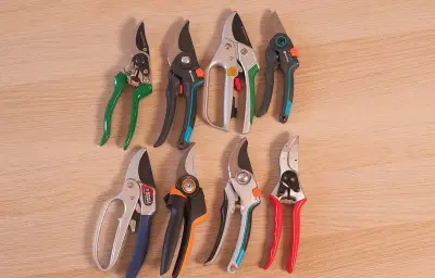 Sécateurs manuels : notre comparatif des 4 meilleurs modèles testés par nos experts