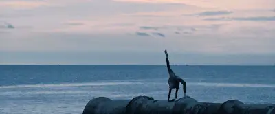 Sorties à Montpellier ce 22 avril : Atelier romain, spectacle jeunesse et concerts