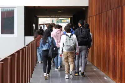 Stages de 3e et 2de : quelle utilité pédagogique ? Un expert répond