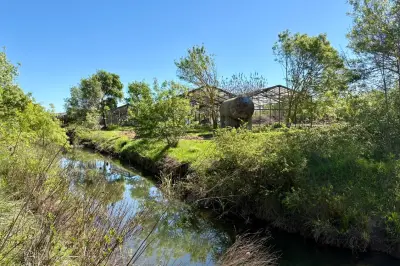 Toulon : 4,3 millions d'euros pour renaturer l'Eygoutier et son affluent