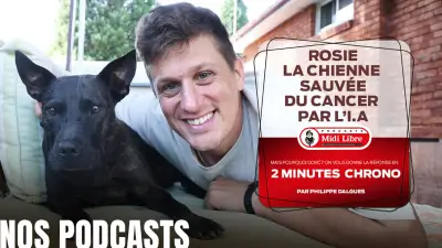 Un chien sauvé par l'IA : quand la médecine personnalisée défie le cancer