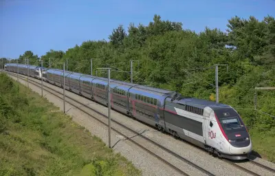 Un TGV transportant un ministre percute une vache, forçant l'annulation d'une visite officielle à Dijon