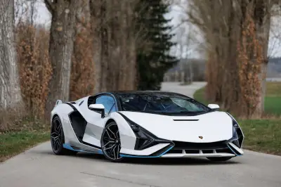 Vente aux enchères à Monaco : plus de 10 millions d'euros pour des voitures de collection