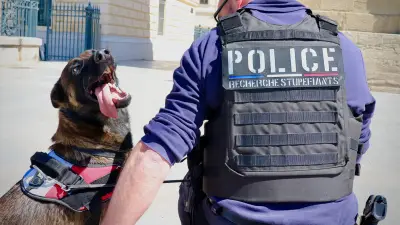 Vortex, le malinois qui renforce la lutte antidrogue à Montpellier