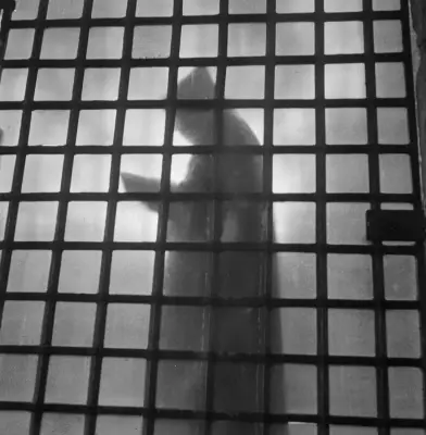 Yasmina Khadra : l'écrivain algérien s'exprime sur la Palestine, son pays de cœur