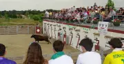 10 ans du Club taurin de Haut-Mauco : fête et course landaise le 2 mai
