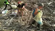 146 kg de déchets ramassés le long du Gardon en deux heures
