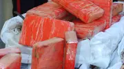19 kg de cocaïne dans un camion : un chauffeur roumain condamné à Montpellier
